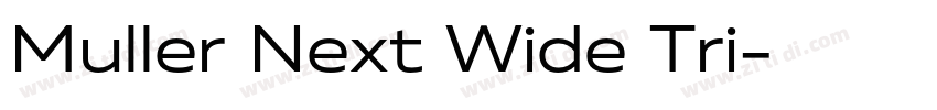 Muller Next Wide Tri字体转换